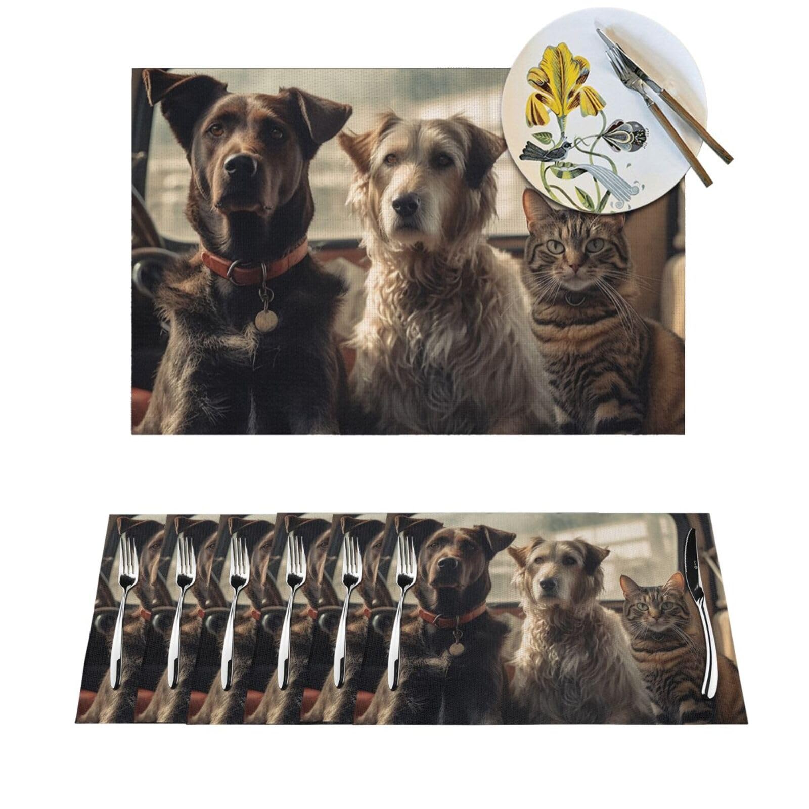 Set de table PVC antidérapant de qualité supérieure pour repas de famille