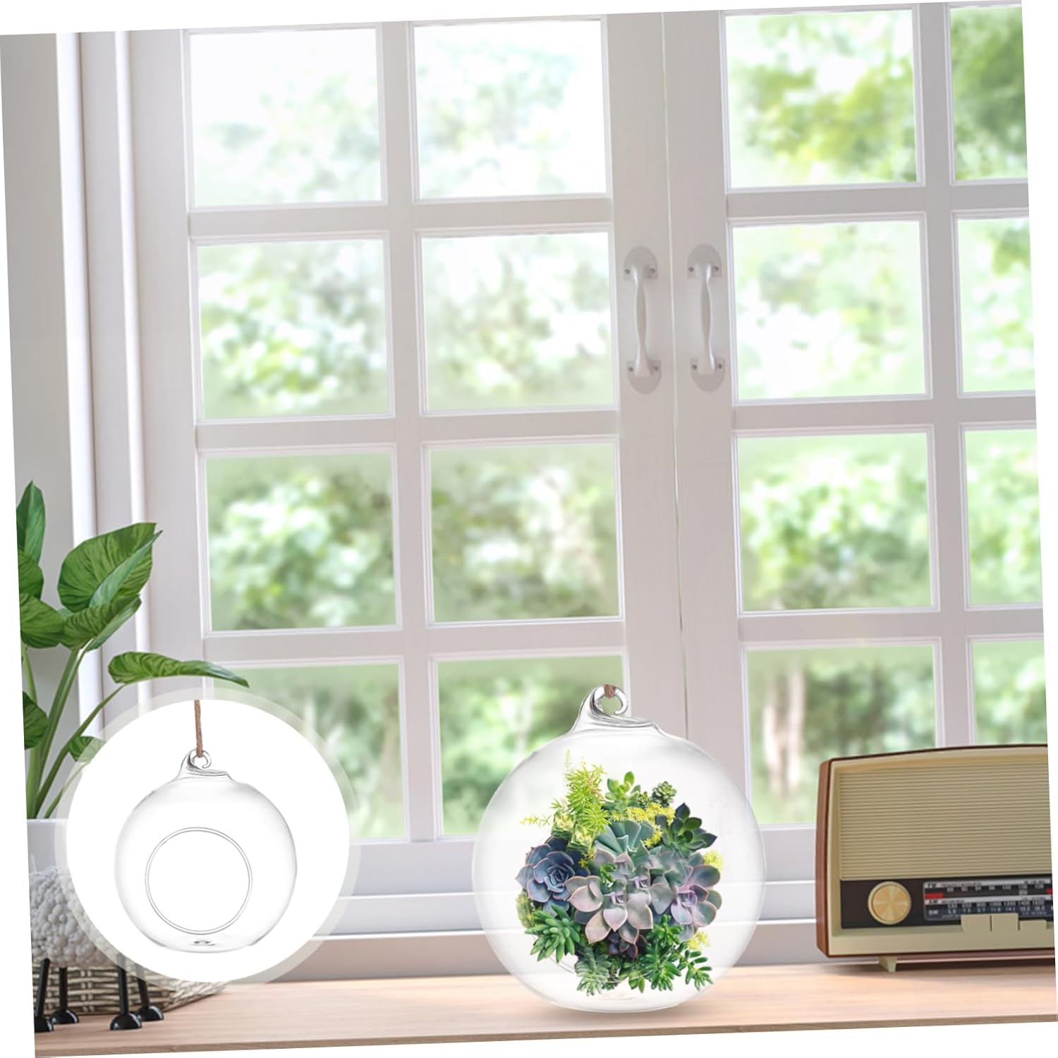 6pcs Glass Vase Terrarium Succulent Plant Holder Home Decor for Indoor Plants