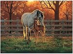 Cobble Hill 500 Piece Puzzle - Quiet Time - Sample Poster Included