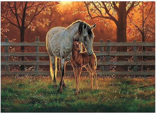 Cobble Hill 500 Piece Puzzle - Quiet Time - Sample Poster Included