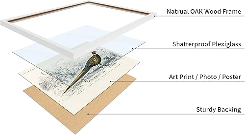 Miniatura 141 de Poster Master Póster vintage de flamenco americano, estampado retro de flamenco rosa, arte de pájaro, regalo para él, ella, amante de los animales,