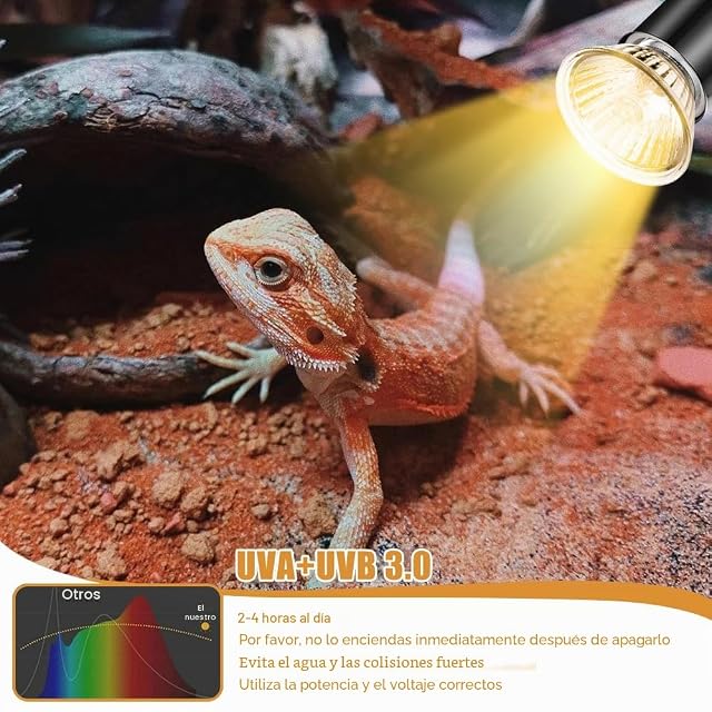 Foto 3 de 8 de Udbrud Lámpara para Reptiles y Anfibios con 2 Bombillas 50W UVA UVB, Giratoria 360° para Tortugas, Lagartos