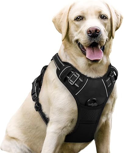 rabbitgoo Dog Harness No Pull with 2 Leash Clips, Adjustable Soft Padded, Reflective Oxford No Choke Pet Vest with 