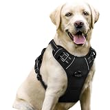 rabbitgoo Dog Harness No Pull with 2 Leash Clips, Adjustable Soft Padded, Reflective Oxford No Choke Pet Vest with Easy Control Handle for Large Dogs, Black, L Large Black