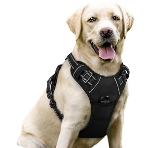 rabbitgoo Classic Fit No Pull Hundegeschirr