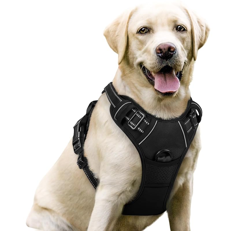 rabbitgoo Dog Harness, No Pull for Large Dogs with 2 Leash Clips, Pet Vest Large Black