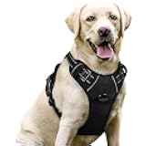 rabbitgoo Dog Harness No Pull with 2 Leash Clips, Adjustable Soft Padded, Reflective Oxford No Choke Pet Vest with Easy Control Handle for Large Dogs, Black, L