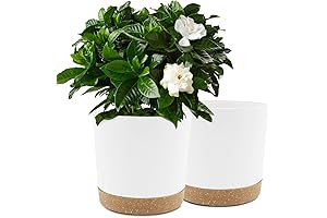 QCQHDU Pack of 2 10" Plant Pots with Drainage Holes and Removable Base