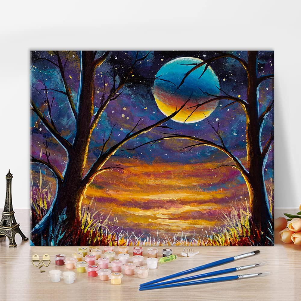 TISHIRON Peinture à L'huile DIY Pour Adultes Et Enfants, Paysage De Nuit, Peinture Par Numéros, Kit De Peinture Acrylique Par Numéros, Sans Cadre, 16x20 Pouces