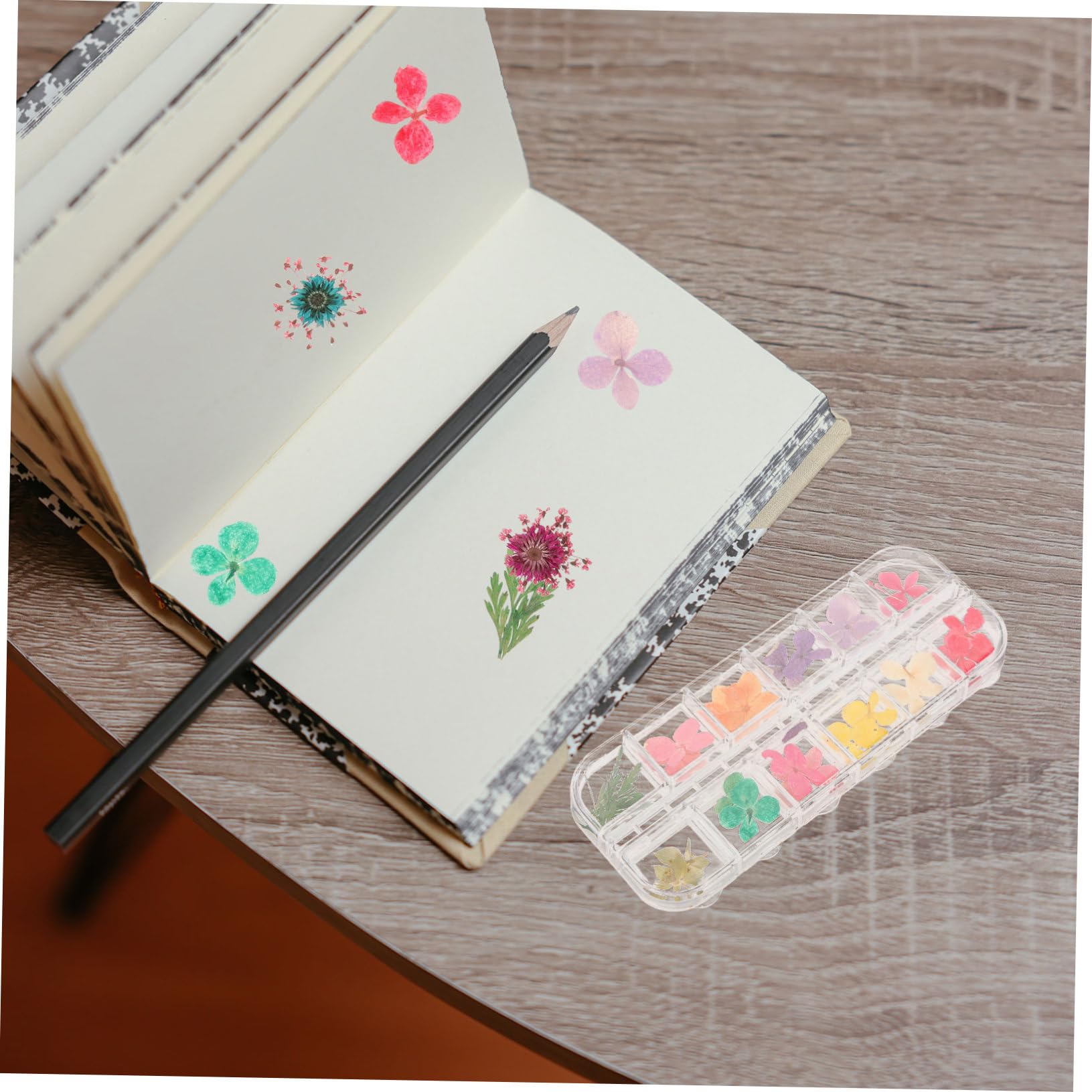 Amosfun Fleurs Séchées Naturelles pour Résine Époxy Kit De Boîtes pour Artisanat De Et Bougie Décoration Créative Parfum Naturel Et Éclat