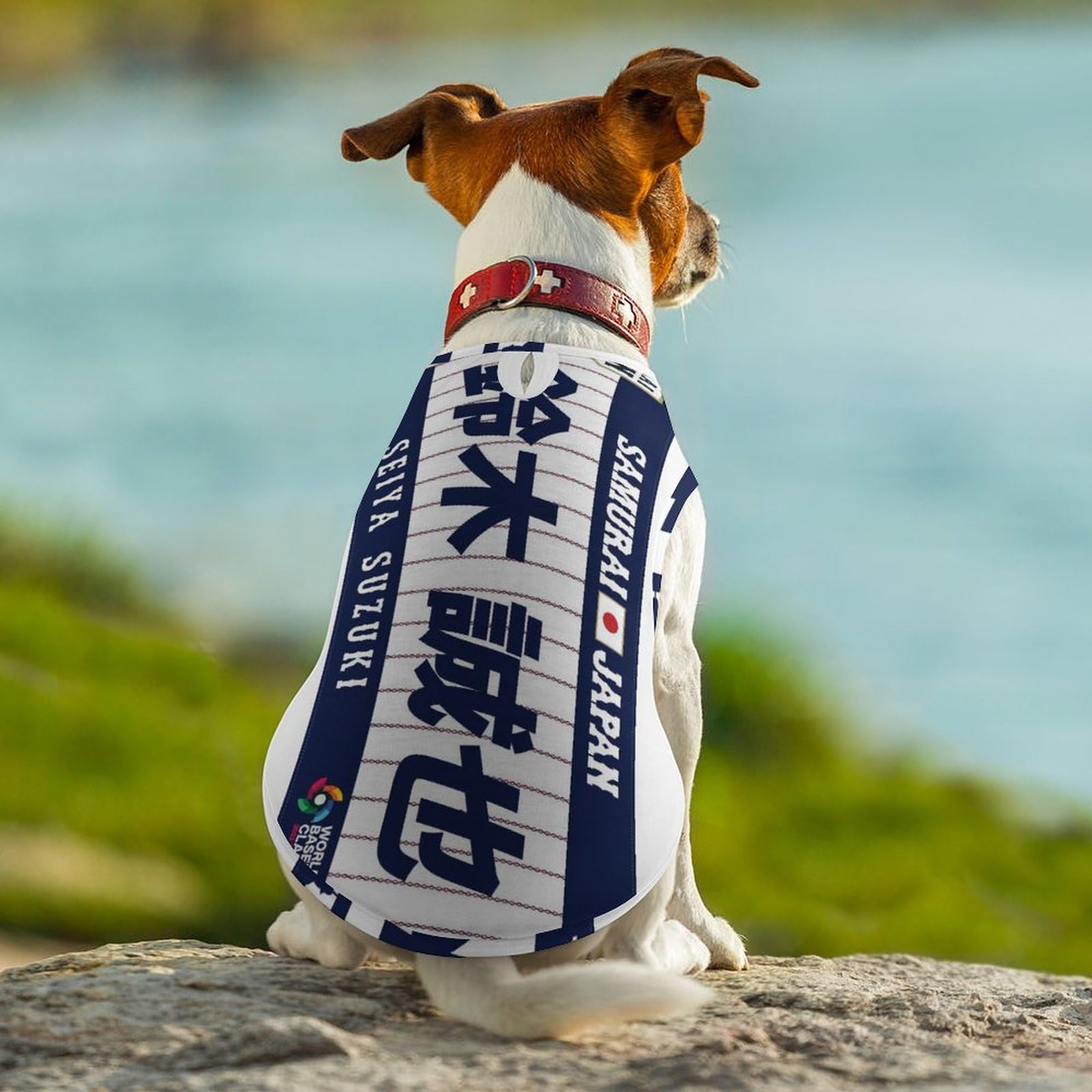 Amazon.co.jp: Samurai Japan No. 51 Seiya Suzuki Baseball Support Dog  Clothing, T-shirt, For Small and Medium Dogs, Cool, Spring, Summer, Autumn,  Hair ...
