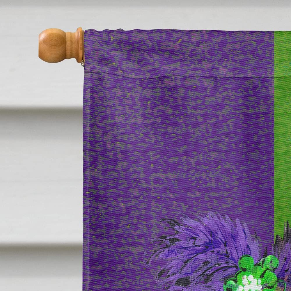 Caroline's Treasures 8362CHF Mardi Gras Mask House Flag Large Porch Sleeve Pole Decorative Outside Yard Banner Artwork Wall Hanging, Polyester, House Size, Multicolor