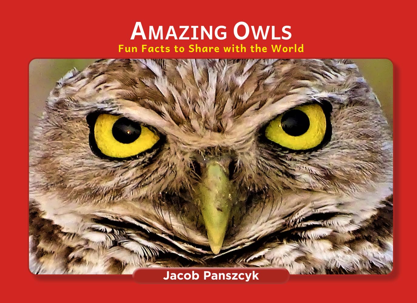 Amazing Owls: Fun Facts to Share with the World