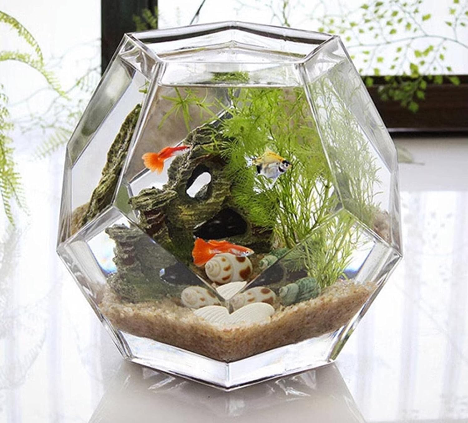 Amazon.co.jp: Vlfn クリエイティブデスクトップガラス 金魚鉢 苔