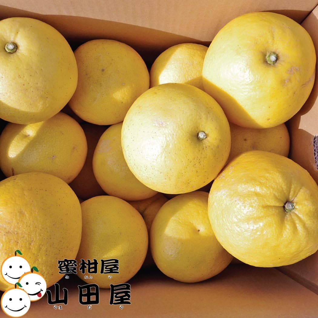 土佐文旦 4L～2Lサイズ 20キロ （家庭用）, 高知産または愛媛産,土佐