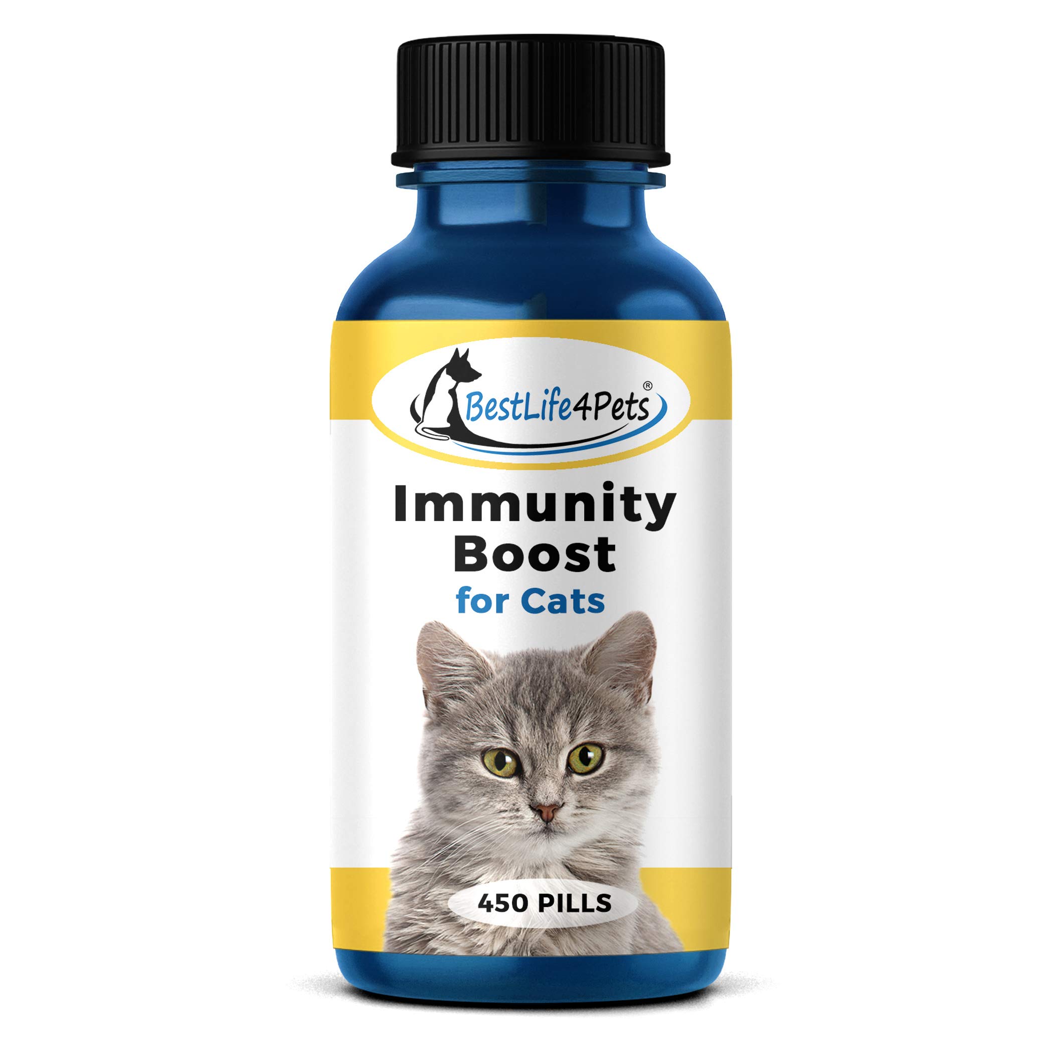 cat flu medication