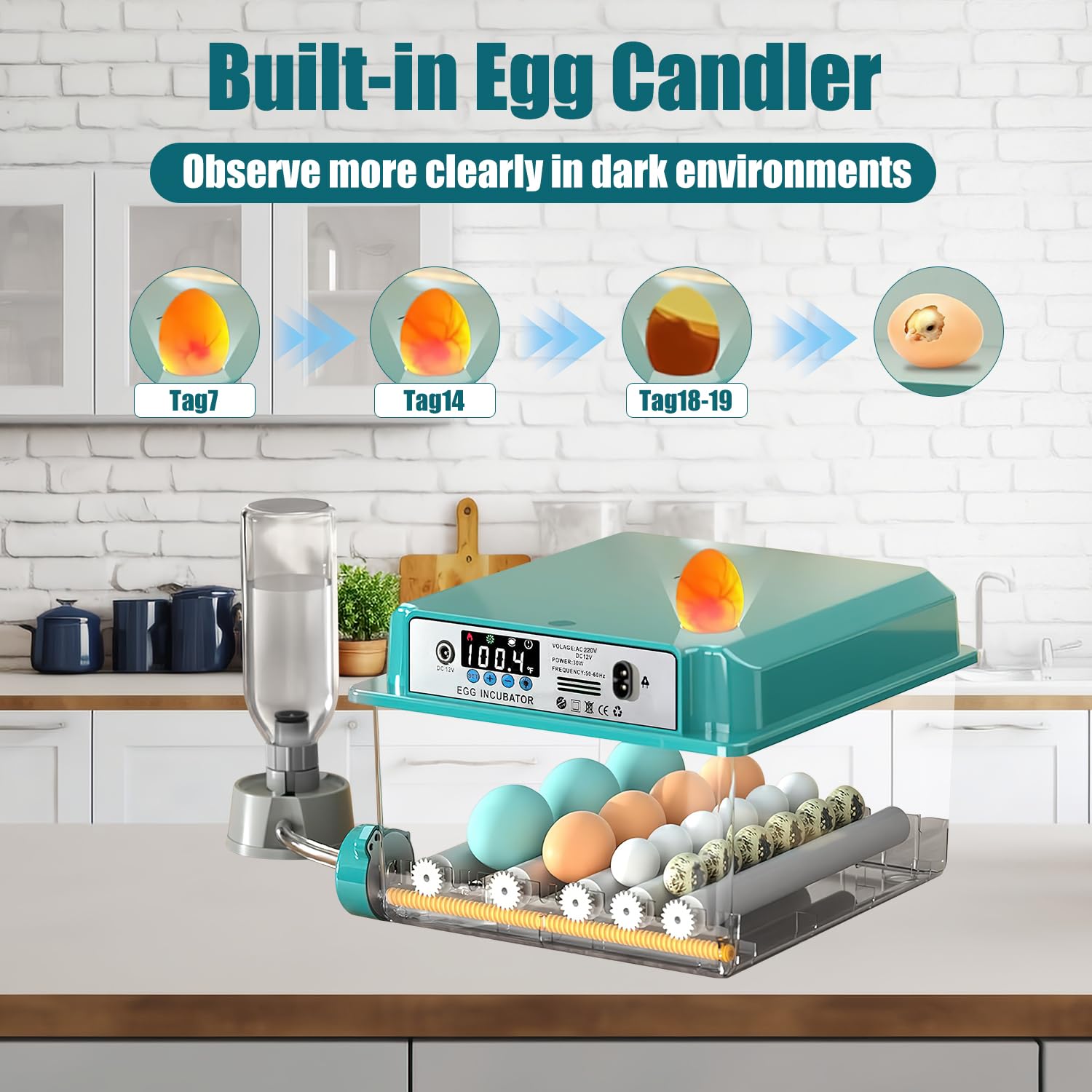 Incubadora de huevos automática, incubadora automática de huevos 12-16 huevos con volteo automático de huevos y humidificación automática, incubadora para huevos de gallina, codorniz, pato