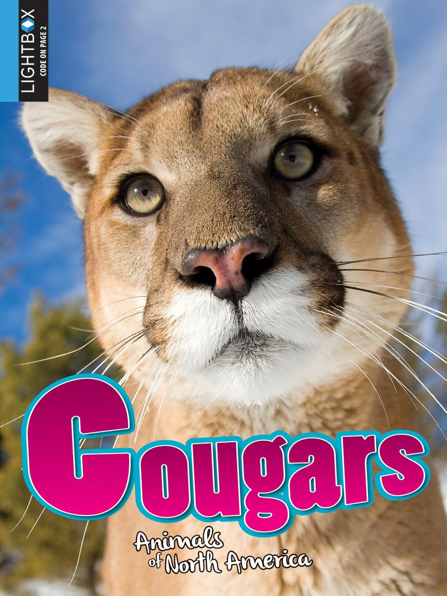 Cougars Buy Online at Best Price