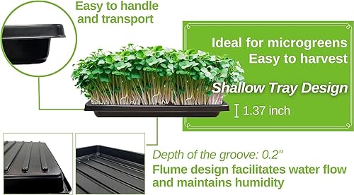 Miniatura 3 de BeGrit 1010 Bandeja sin agujeros Bandeja de cultivo Bandeja de drenaje Bandeja de drenaje Microgreens 10-Pack Verde