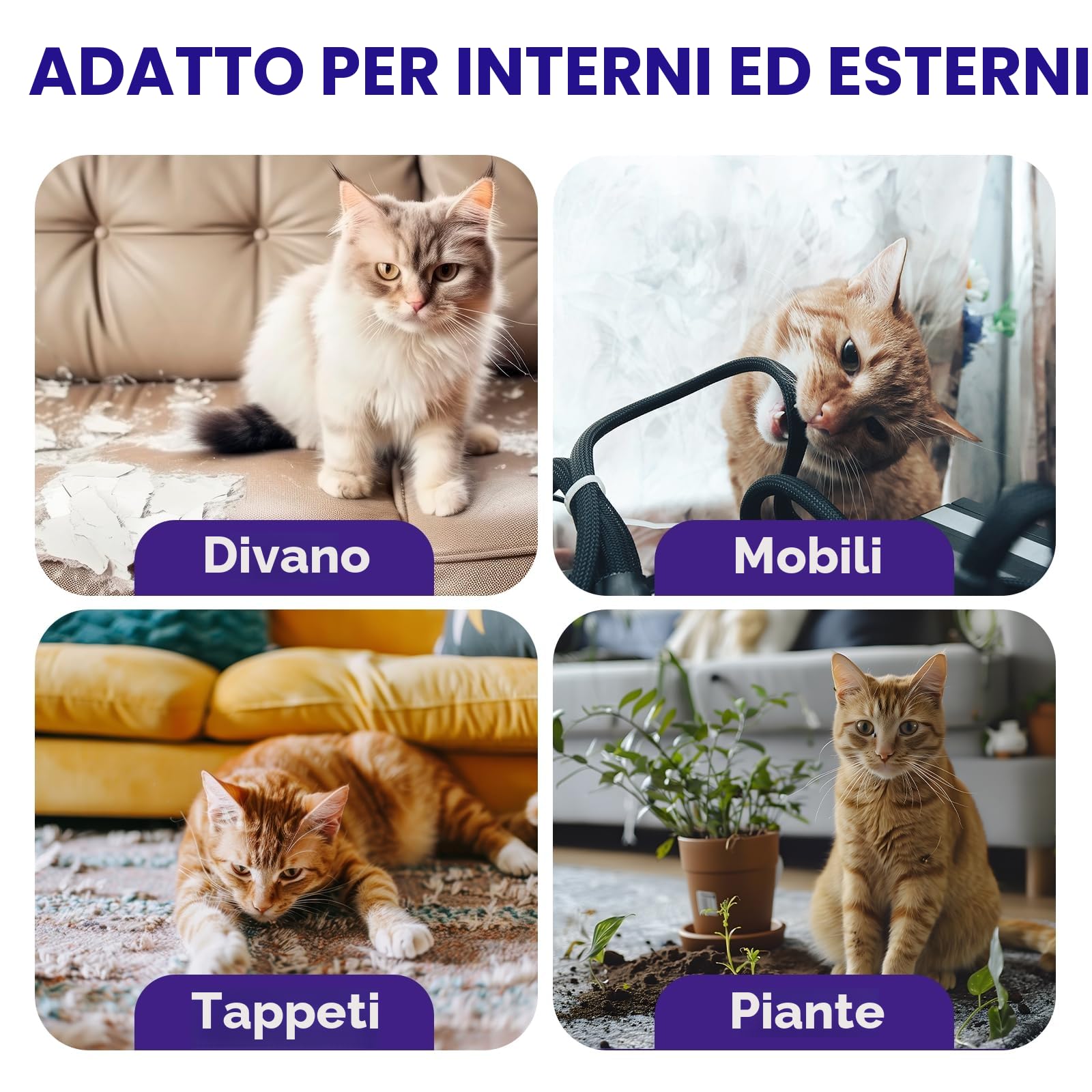 WEALLIN Spray Repellente per Gatti, 200ml Repellente Gatti e Spray AntiGraffio per Gatti Divano, Uso Interno ed Esterno, Protezione del Divano e Mobili, Ideale per Casa e Giardino