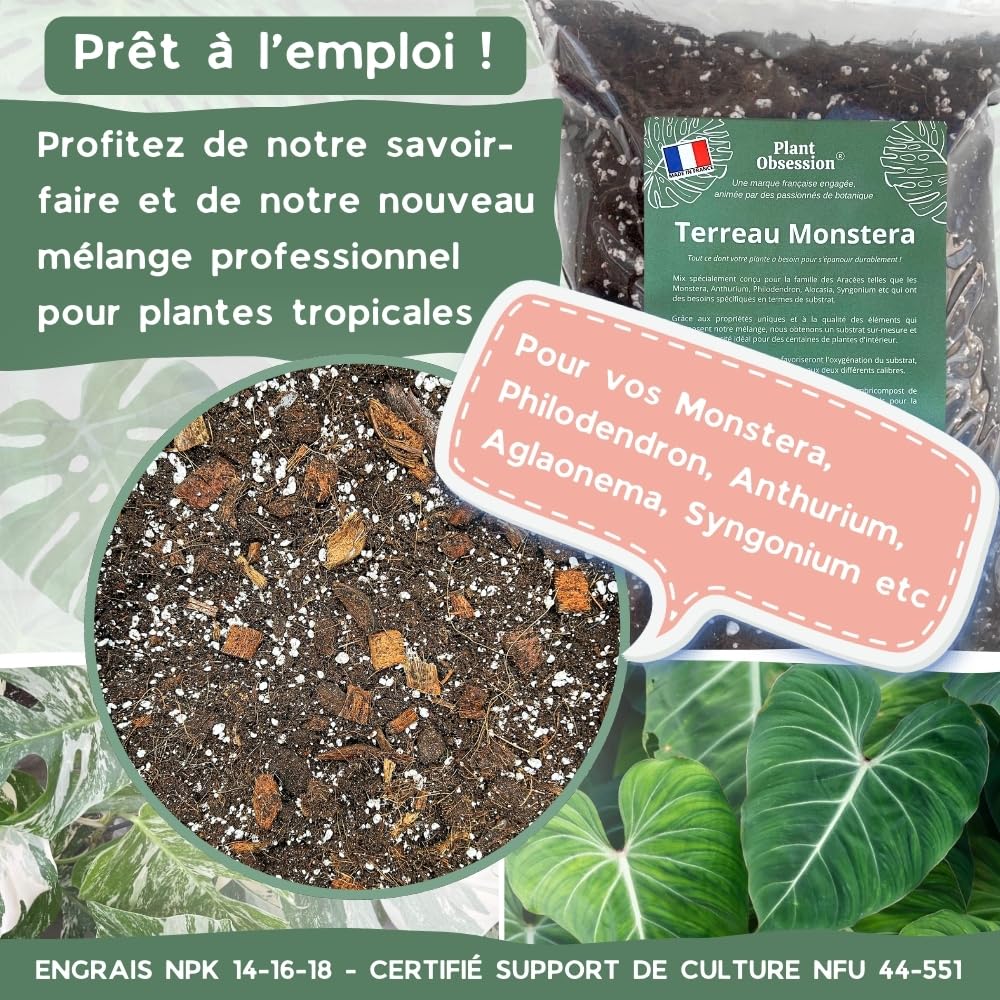 Terreau Monstera Premium, 4L, Mlange pour Plantes Tropicales, Coco,  Perlite : Amazon.fr: Jardin