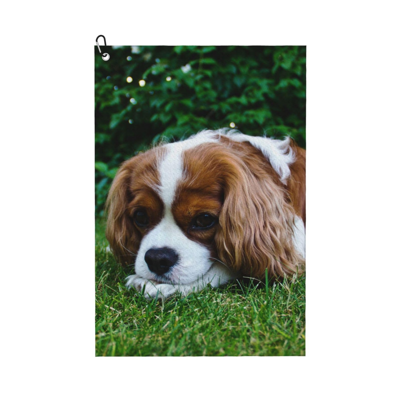 Hnnkloy Cavalier King Charles Spaniel Brownish White, 16x24 in Portable Waffle Golf Towels with Carabiner Clip for Golf Bag