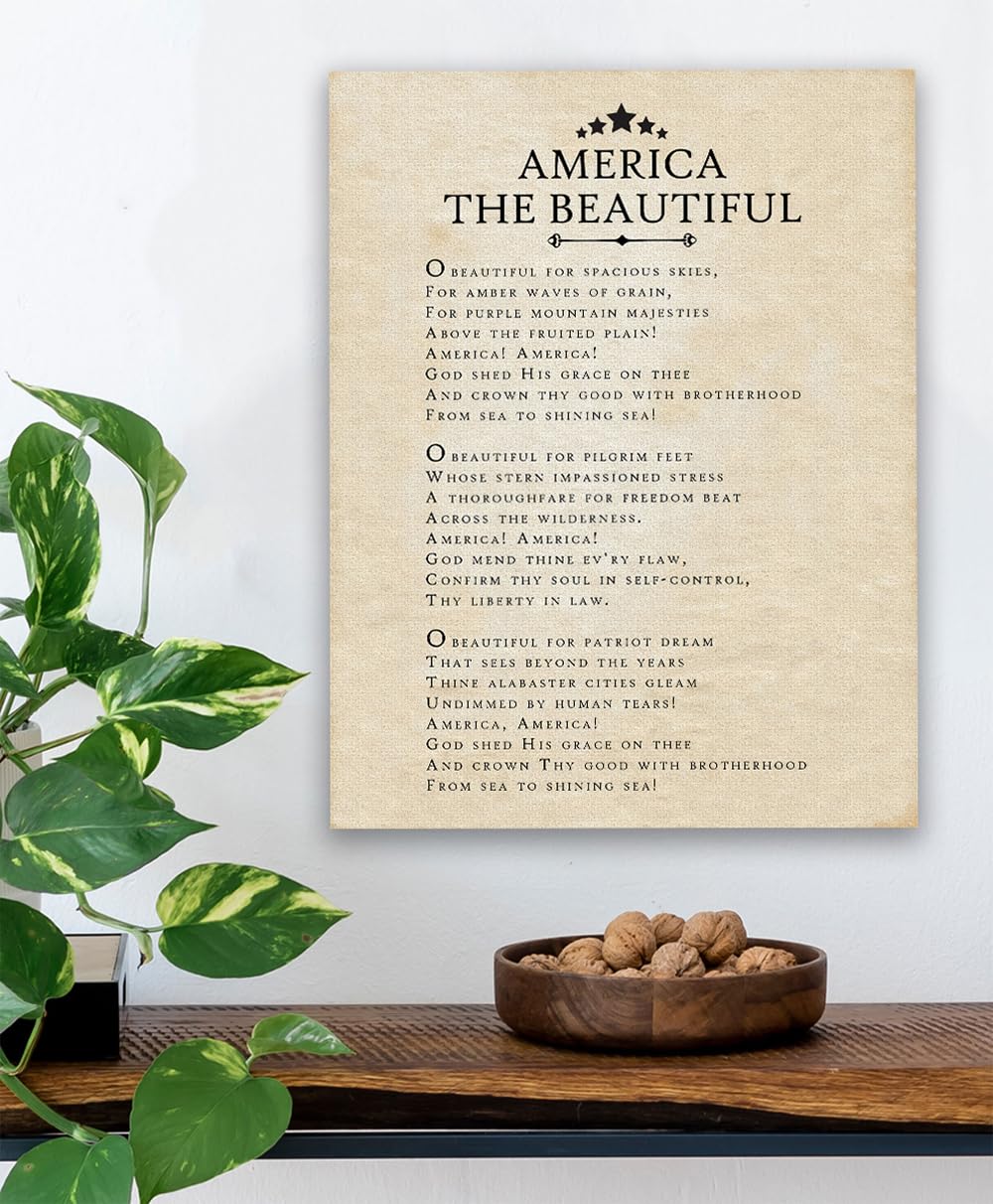 Amazon.com: America The Beautiful 16x20 Stretched Canvas Wall Art