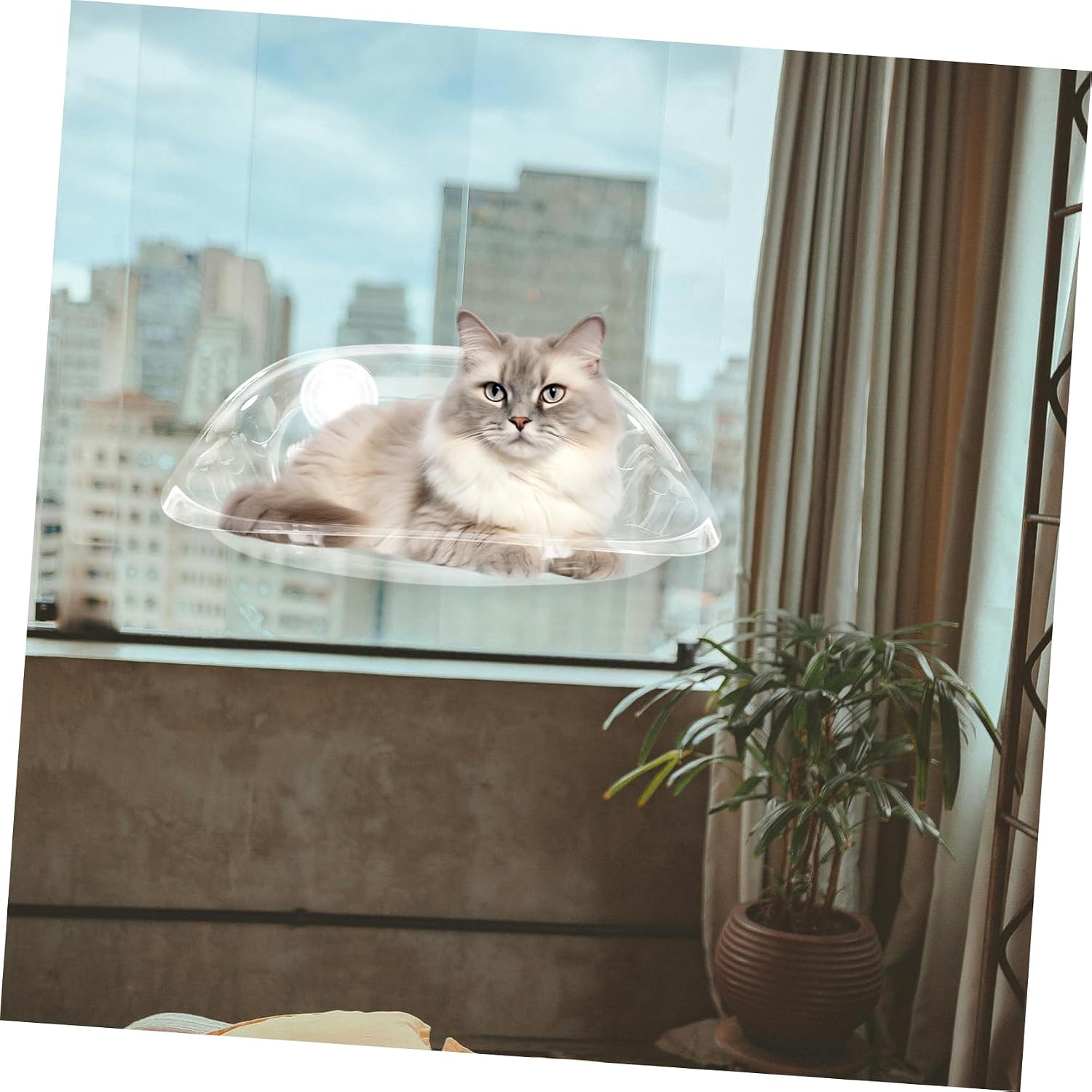 Cat Window Hammock with Suction Cups Transparent Hanging Cat Perch for Indoor Use Space Saving Design for Kittens Room Activities