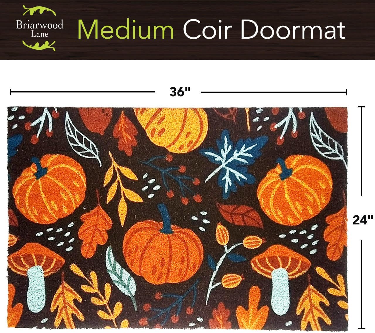 Briarwood Lane Pumpkins and Mushrooms Medium Coir Doormat 24 x 36