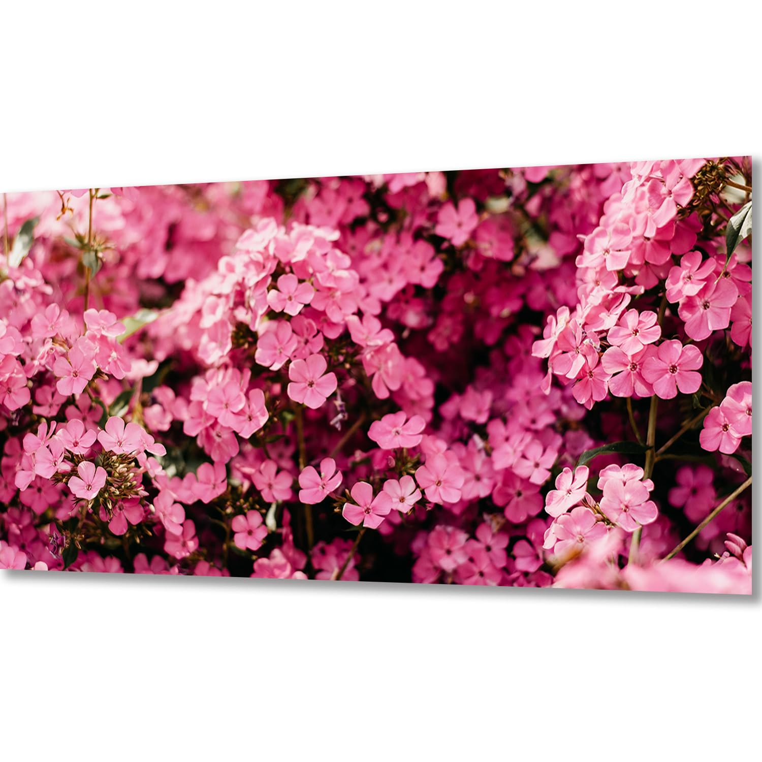 ZGmaxCL 5D Diamant Malerei Set – Großes Triptychon "Gesang Blume" 120x40cm | Komplett-Set Mit Leinwand & Diamanten | DIY Wanddekoration Für Erwachsene