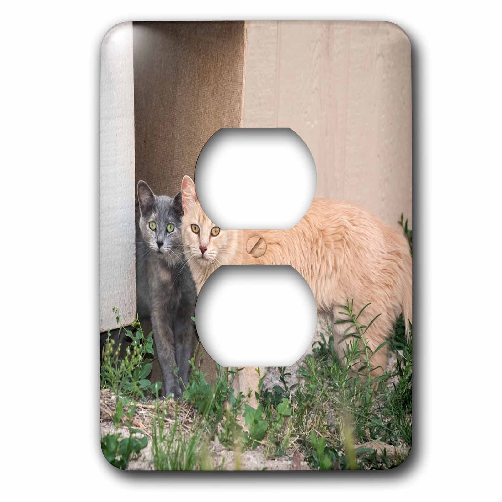 Housse de prise de vue deux chats 3dRose pour décorer votre salon chaleureux