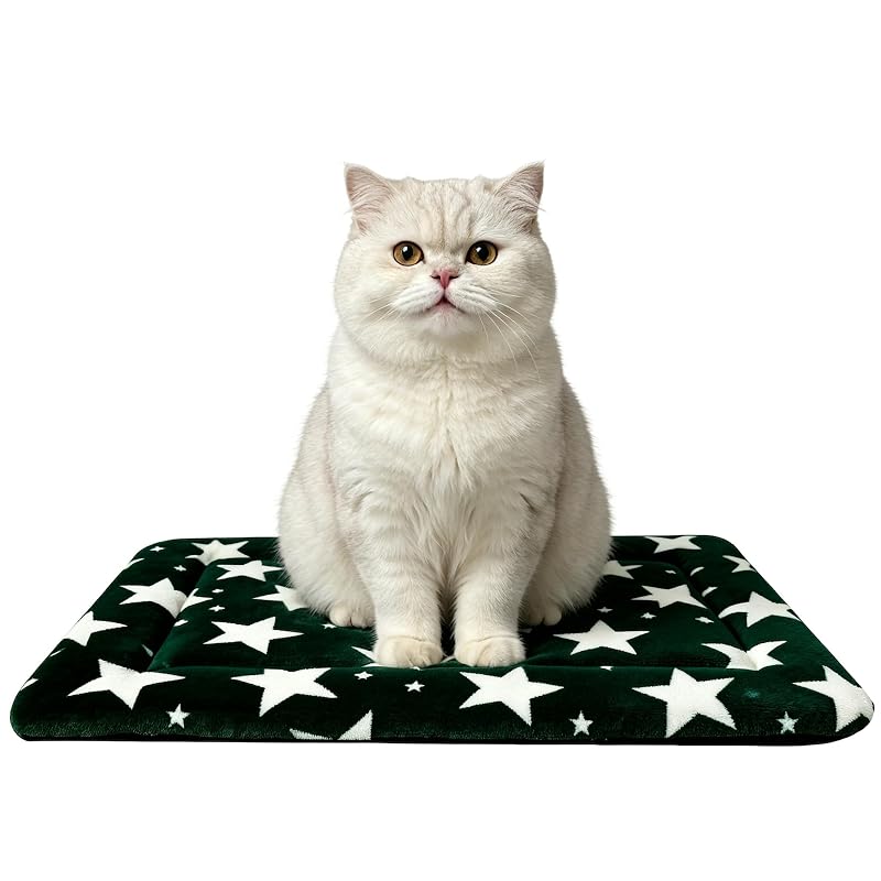 Cama para Cães e Gatos, Colchonete Reversível para Caixa, pobopobo, Big&Little Stars Green, XS (45,72 x 35,56 x 3,81 cm), 1 unidade