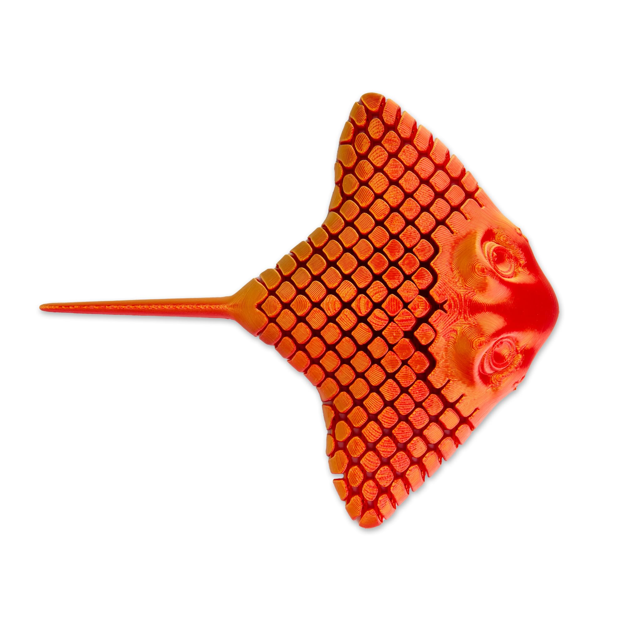 HGL 3D Printed Stingray Fidget Toy – Articulated Sensory Sea Creature (1 Colour Sent at Random)