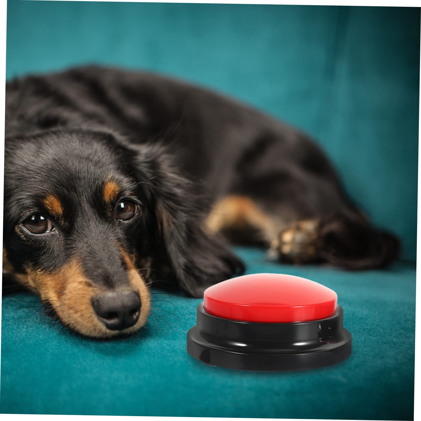 2 Juegos De Timbres De Entrenamiento para Perros con Función De Grabación Y Botón De Comunicación para Perros Botones De Sonido Interactivos (2 Unidades)