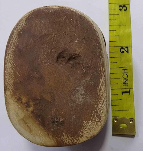 Miniatura 3 de Escarabajo escarabajo de 2.5 pulgadas, estatua de pisapapeles egipcia, hecha a mano, estatua de faraón, escultura antigua, figura coleccionable,