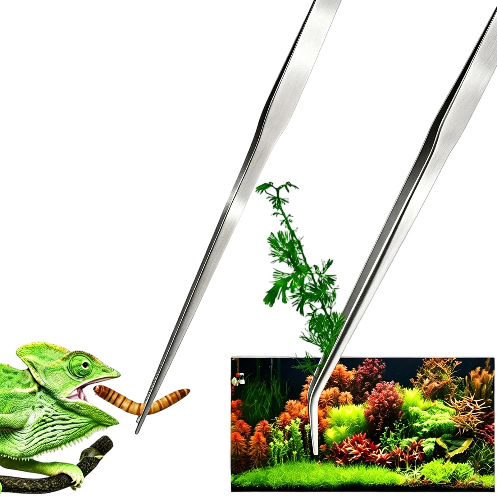 2pcs Stainless Steel Aquatic Tweezers for Aquarium Plants, Straight & Curved Design, Cleaning Tools for Fish Tank Landscaping and Maintenance, Fish Aquarium Accessories-image-36