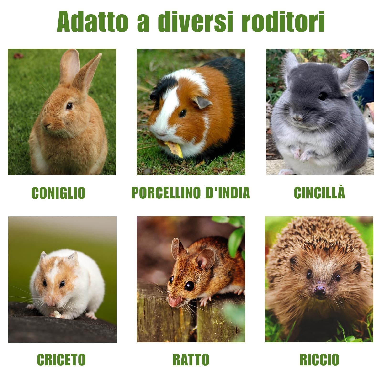 Giocattolo da Masticare per Conigli , Bastoncini di Fieno Timothy per Conigli Porcellini d'India, Cincillà , Criceto (20 unità (1 confezione))
