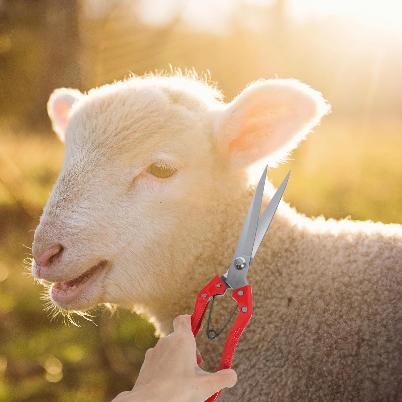 BESPORTBLE 4piezas Tijeras De Ergonómicas Para Ovejas y Ganado Cortadora Manual De Lana De Peluquería Animal Para