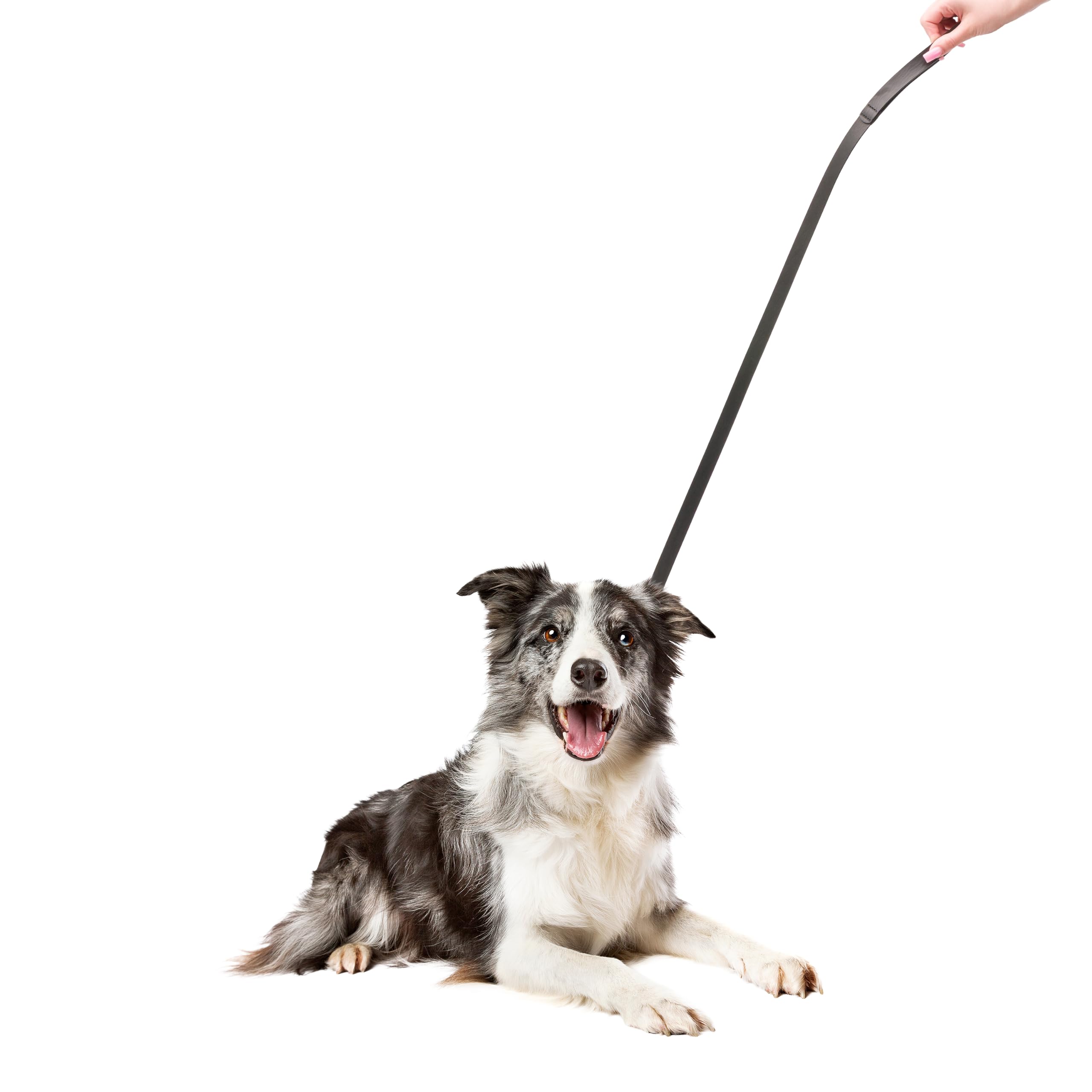 Ferplast Guinzaglio vera pelle cane cani nero cuoio naturale FERPLAST