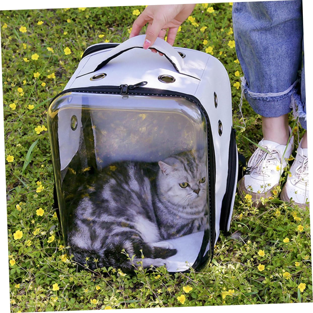 1Pc Transparent Foldable Pet Portable Dog Travel Backpack for Pets Grey for Outdoor Adventures with Comfortable Shoulder Straps