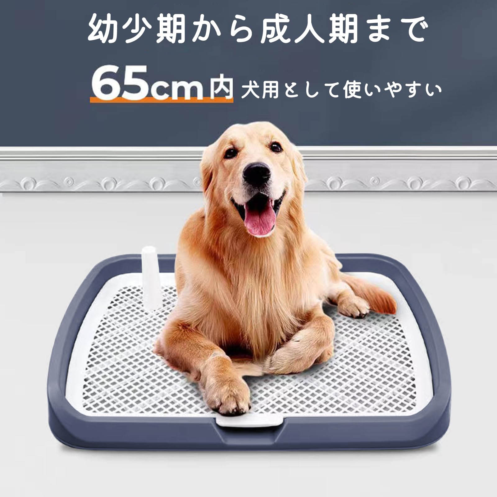 INULABO(イヌラボ) 犬 トイレ トレー 高床式 大型犬 中型犬 特大