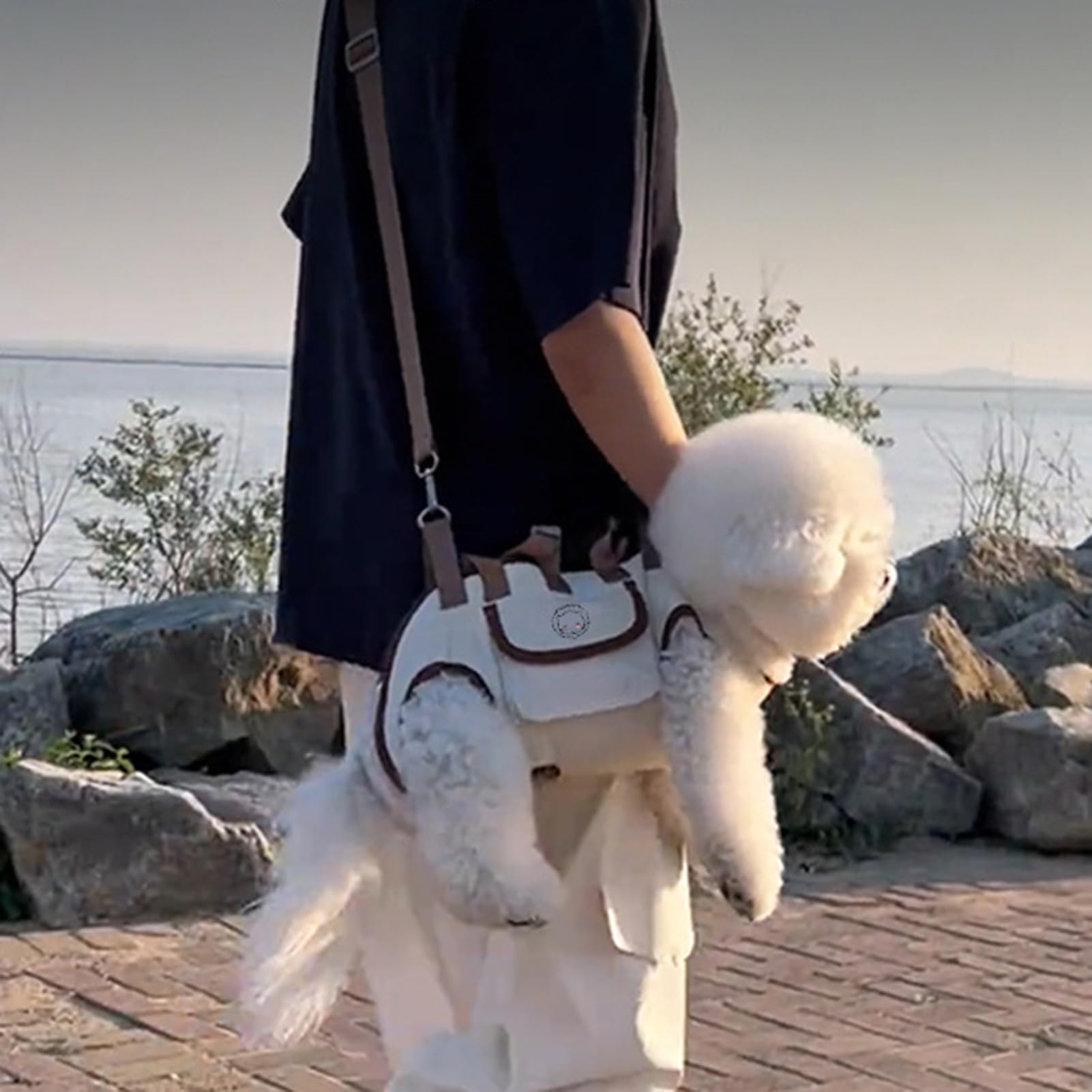 Fascia Porta Cani,Per Cani Piccoli Con Tasca | Borsa Regolabile Sgancio Rapido Zaino Traspirante Per Viaggi Trekking Bici Aereo