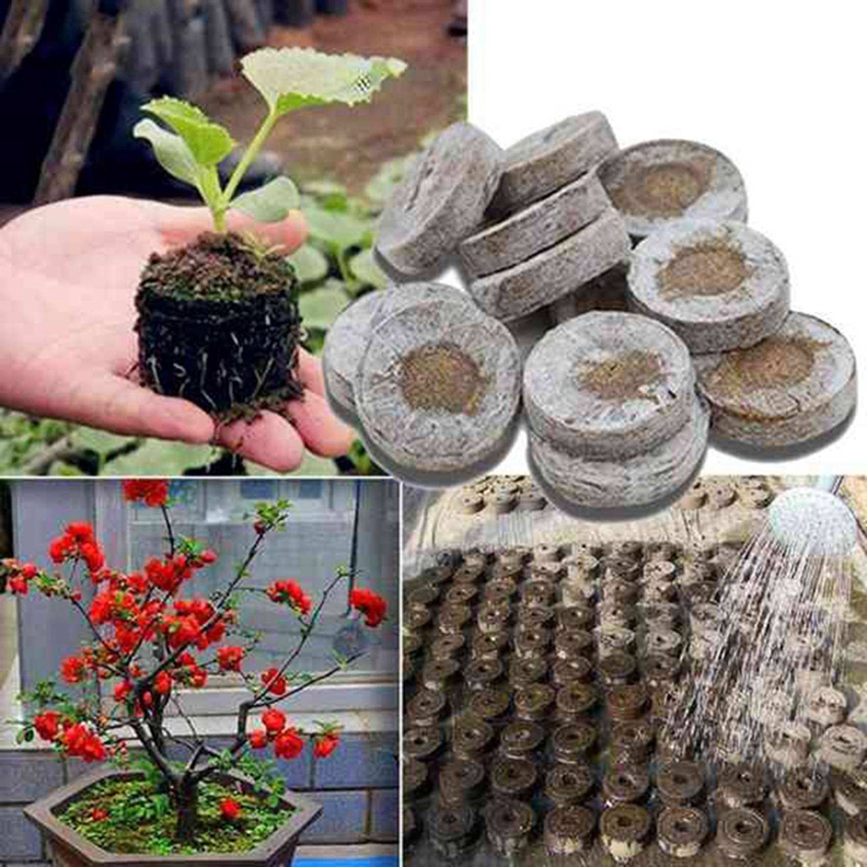 300 Stück Professionelle Torf Pellets Pflanze Start Boden Block Sämling Plugs Umwelt Garten Schule