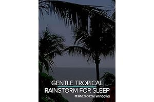 Gentle Tropical Rainstorm for Sleep 9 Hours