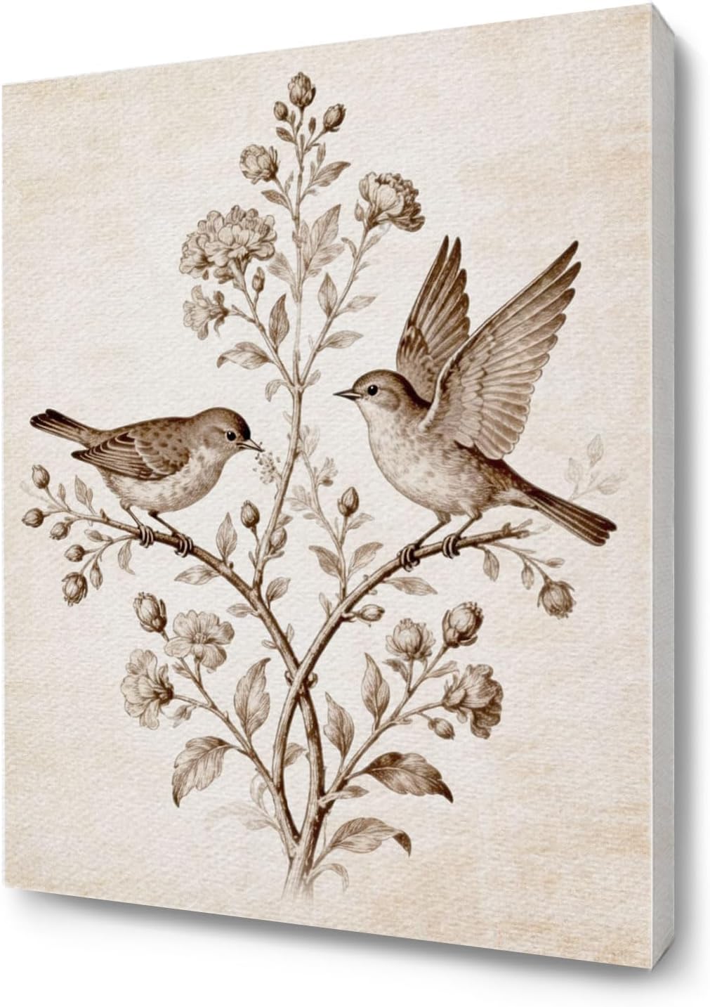 ChissNook Vintage Floral Birds on Branch Framed Canvas Wall Art, Botanical Birds Prints Decoration for Home Bedroom Living Room, Vintage Bird Floral Home Decor, 12x16 Inches