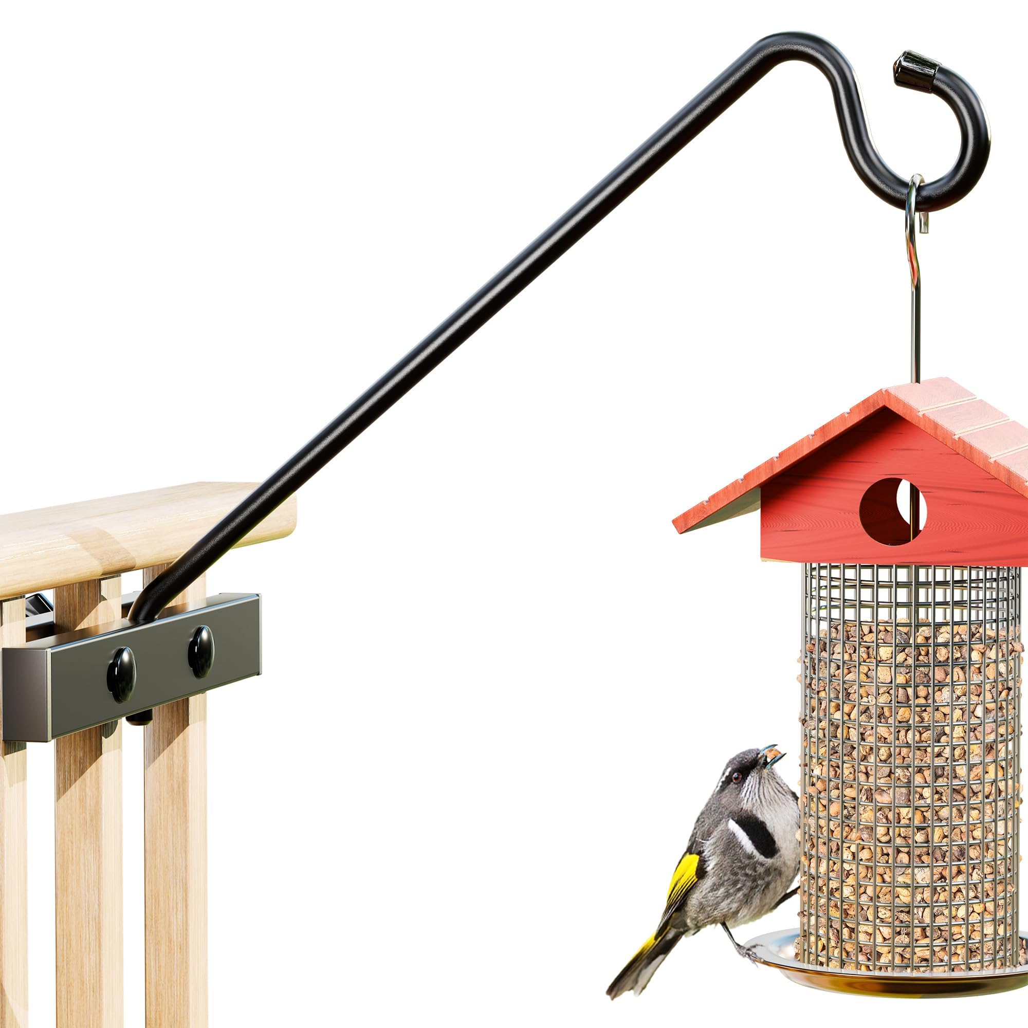 How to Attract Birds to Balcony: Easy Tips for a Bird-Friendly Oasis