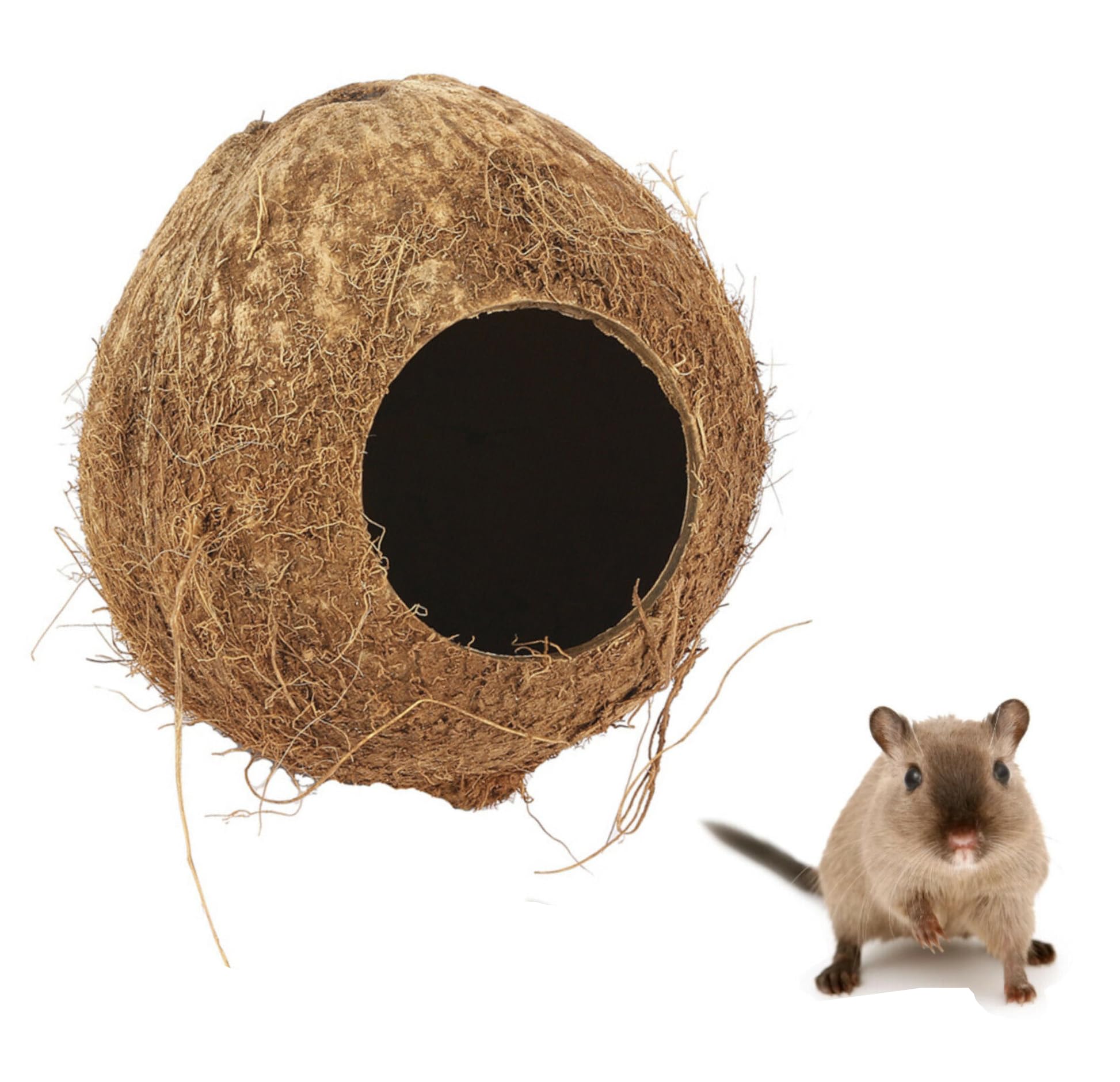 happypet Coconut Hut Pets Small Animals Activity 701029310216