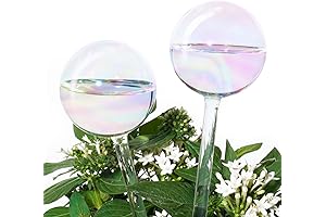 Self-Watering Rainbow Glass Bulb Plant Spikes