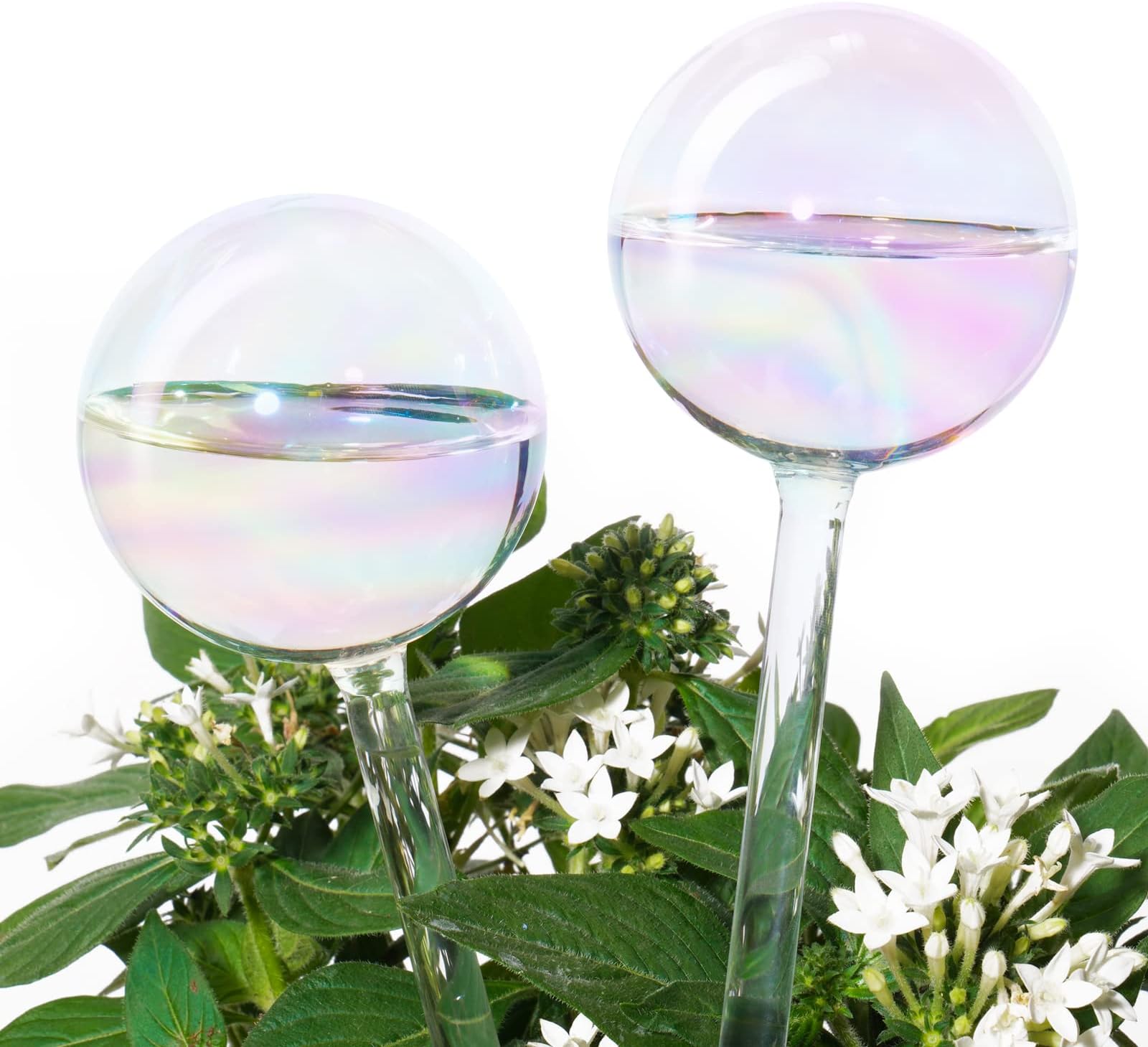 Light Iridescent Rainbow Gradient Color Clear Glass Self-Watering System Spikes