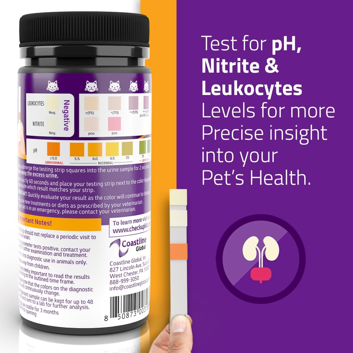 KIT4CAT Sample & Test UTI Bundle - 2lb Hydrophobic Litter That Keeps Urine On Top for Easy Sampling w/CheckUp UTI Testing Strips x 50
